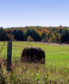 Hay bale with autumn leaves.