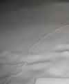 Mole tracks in the snow!