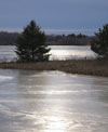 Sun shines on skim of ice at Wildwood Lake.
